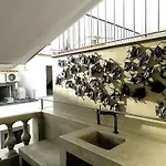 Ca Tanoeiros 2