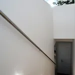 Ca Tanoeiros 2